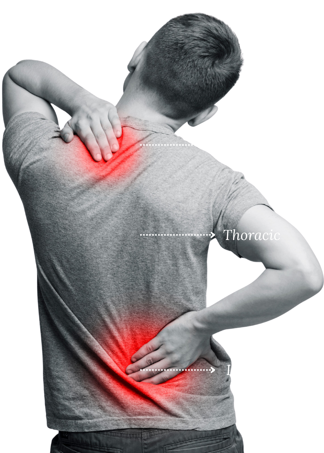 Cervical, Thoracic and Lumbar Spine Pain | Northbridge Chiropractic Perth Man holding neck and lower back with highlighted red areas showing cervical, thoracic, and lumbar spine regions, illustrating common areas of back and neck discomfort.
