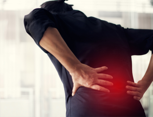 Why Your Lower Back Discs Need Movement More Than Perfect Posture