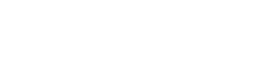 NorthBridge Chiropractic Logo